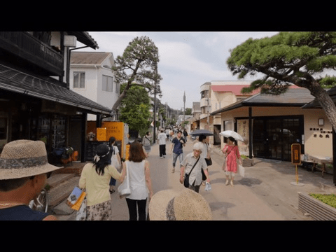 Kamakura Komichi 17 trees